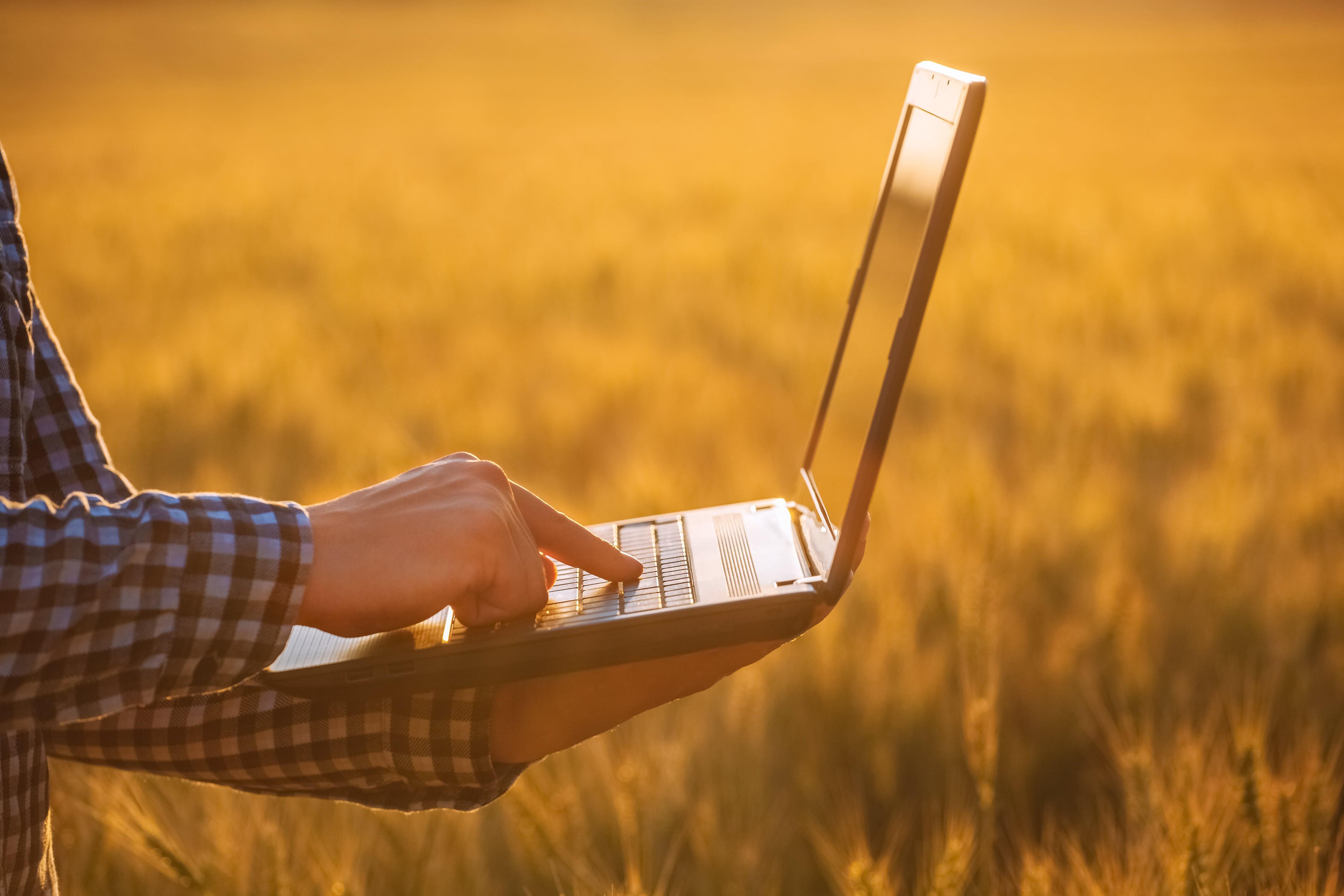 Livro Caixa Digital do Produtor Rural: RF aponta inconsistências